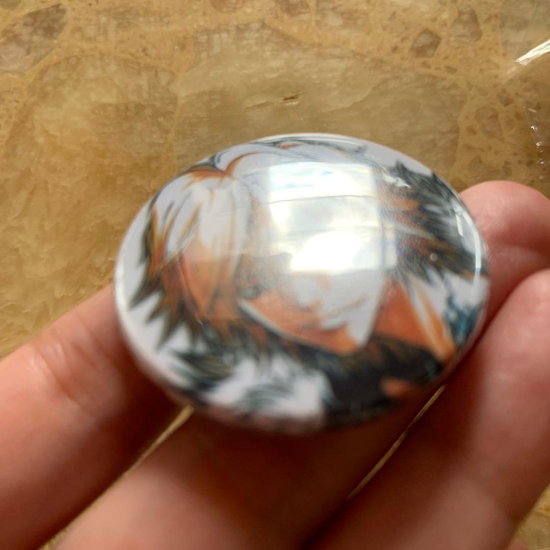 家庭教師ヒットマンREBORN! ディーノ 缶バッジ