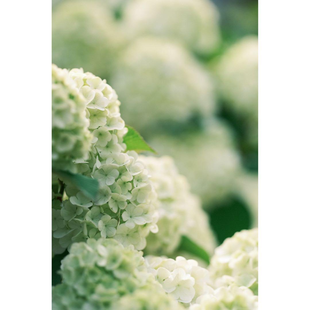 【美品】FUJIFILM XF90mm F2 R LM WR