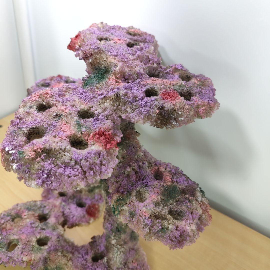 プラグ穴付き アク抜き不要人工ライブロック 海水水槽用 レプリカ コーラルフラグ