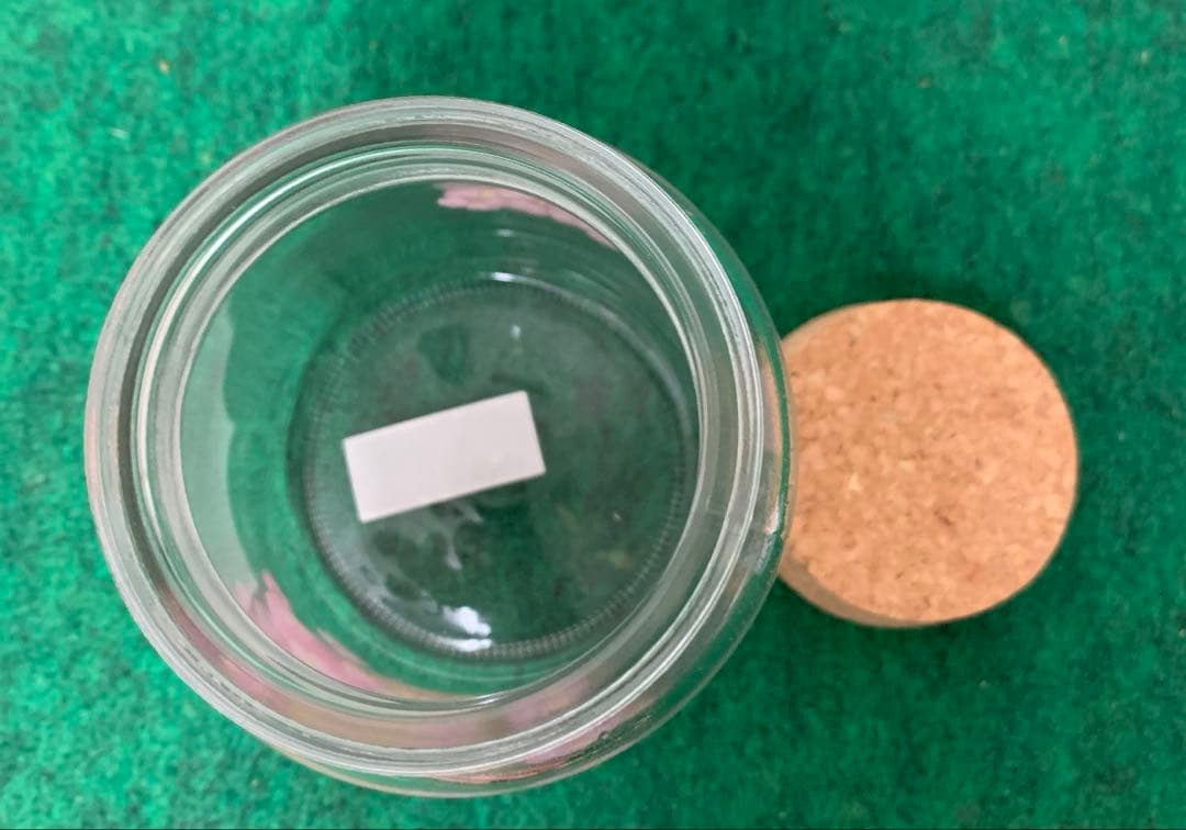 レア　ハローキティ　日焼け　ビキニ　ボード　キャニスター　2002 サンリオ