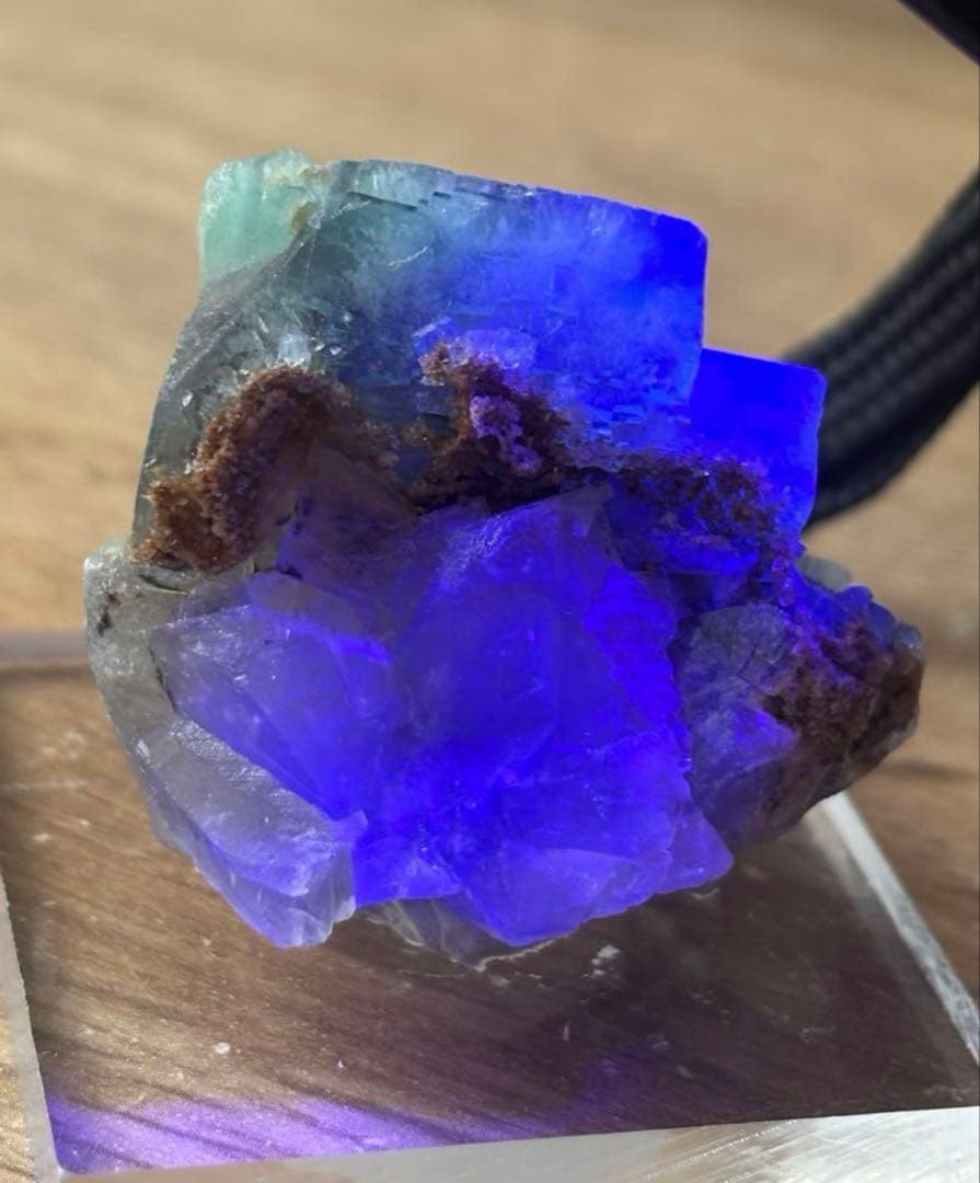 k*g様 レディアナベラ　toxic apple pocket フローライト　レ