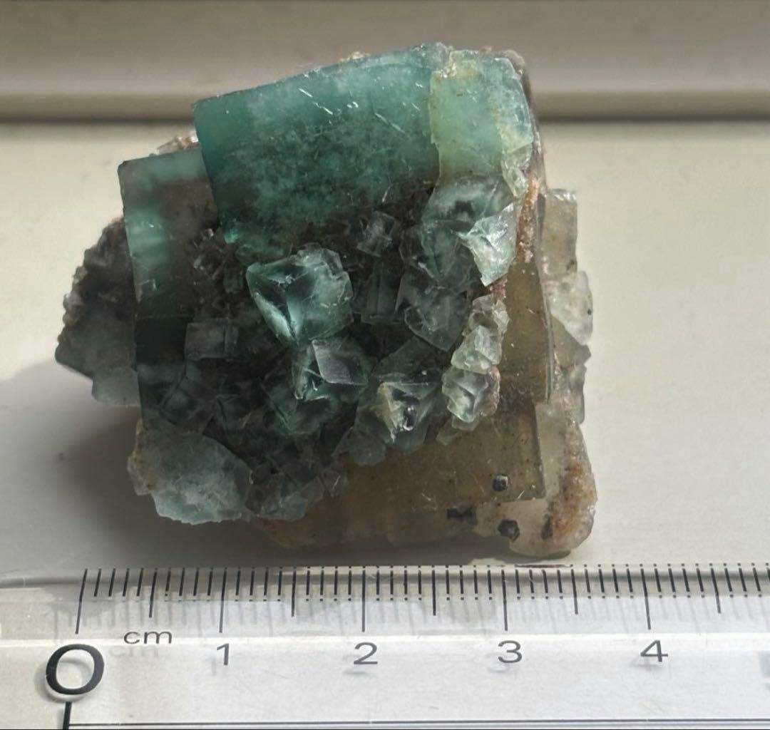 k*g様 レディアナベラ　toxic apple pocket フローライト　レ