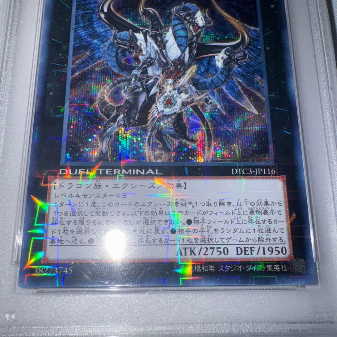 遊戯王　ヴェルズウロボロス DTCシークレット psa10