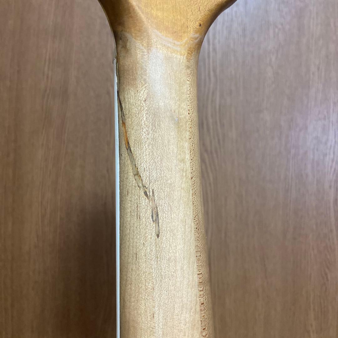 フルアコ 日本製　海外輸出モデル Epiphone NVJ-NT