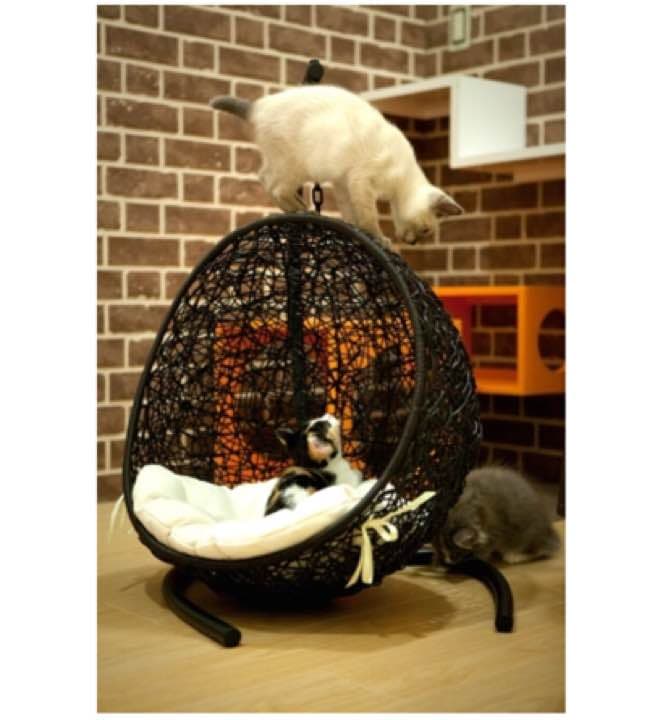 ペット用 ゆりかこベット