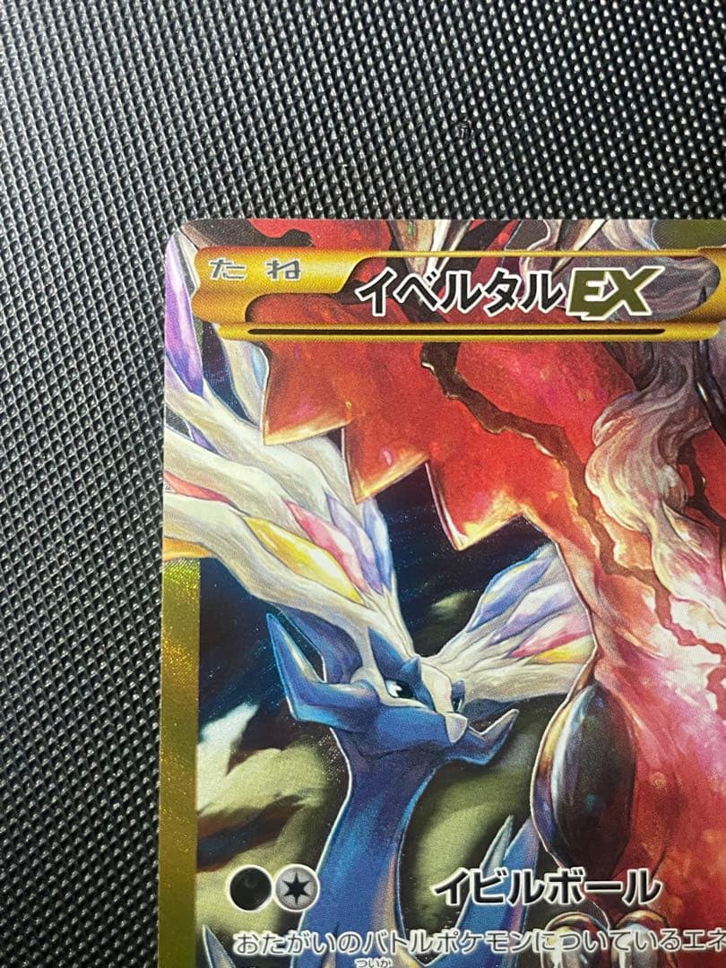 Y眼鏡屋　イベルタルEX UR