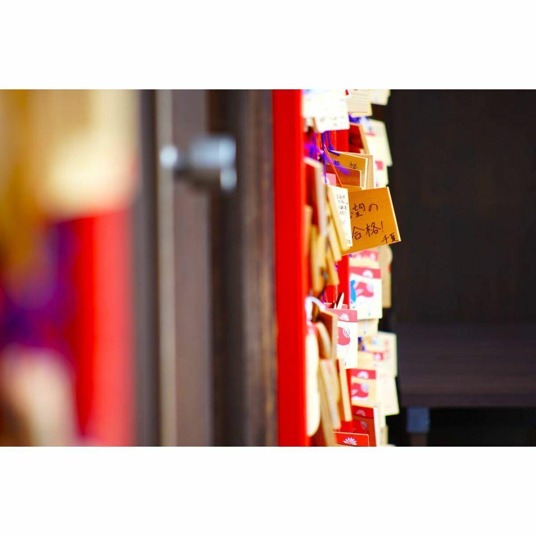 【美品/作例】Nikon AF 70-210mm f/4-5.6