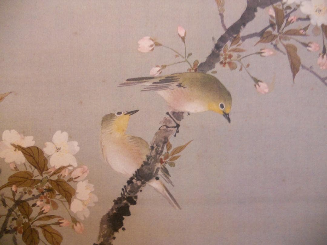 掛け軸 小田海僊 作 桜花小禽図 絹本 名品複製 逸翁美術館 茶道具 掛軸 美品