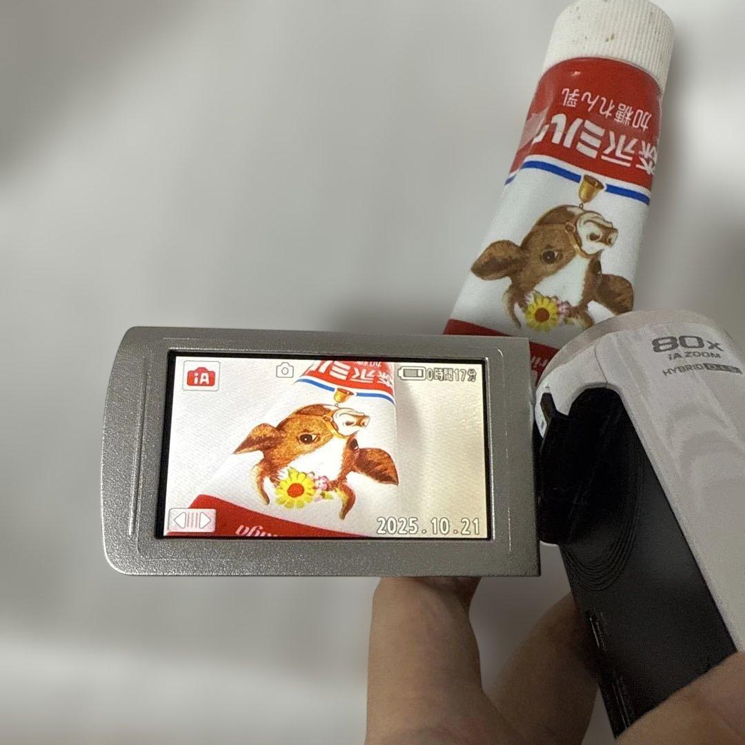 ❗️激安価格❗️ビデオカメラ　本体　Panasonic HC-V520M