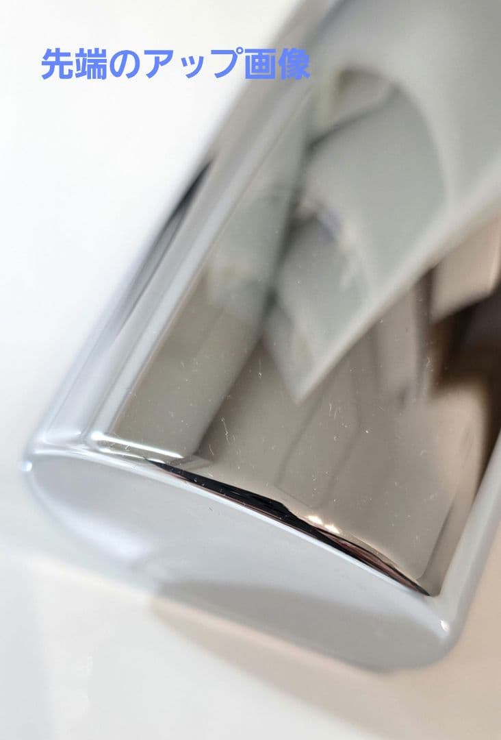 パナソニック 【RLXZS310ESPC】 エステケアシャワーヘッド