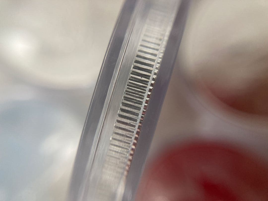 メイプルリーフ銀貨 1オンス　2022年製　5枚セット