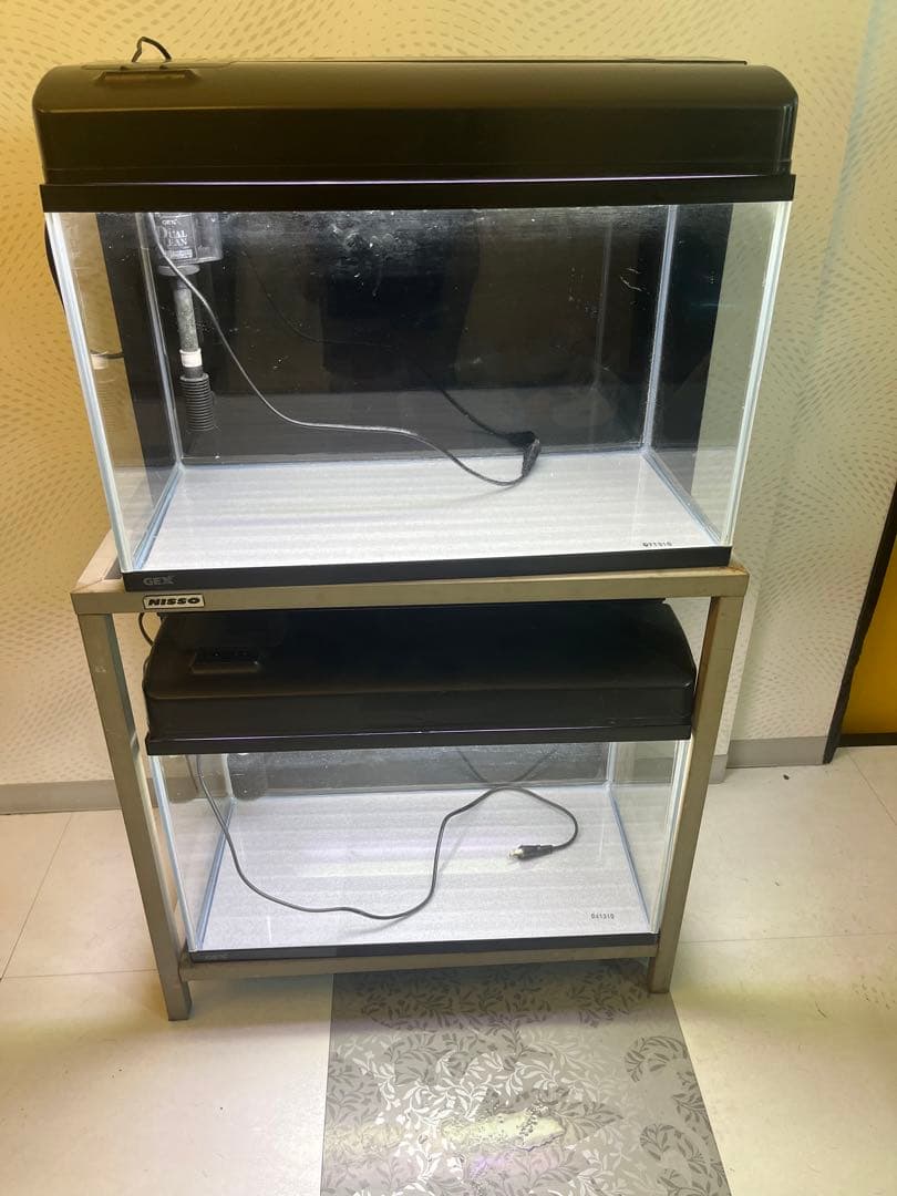 お得‼️⭐️60cm水槽2個水槽台付き⭐️