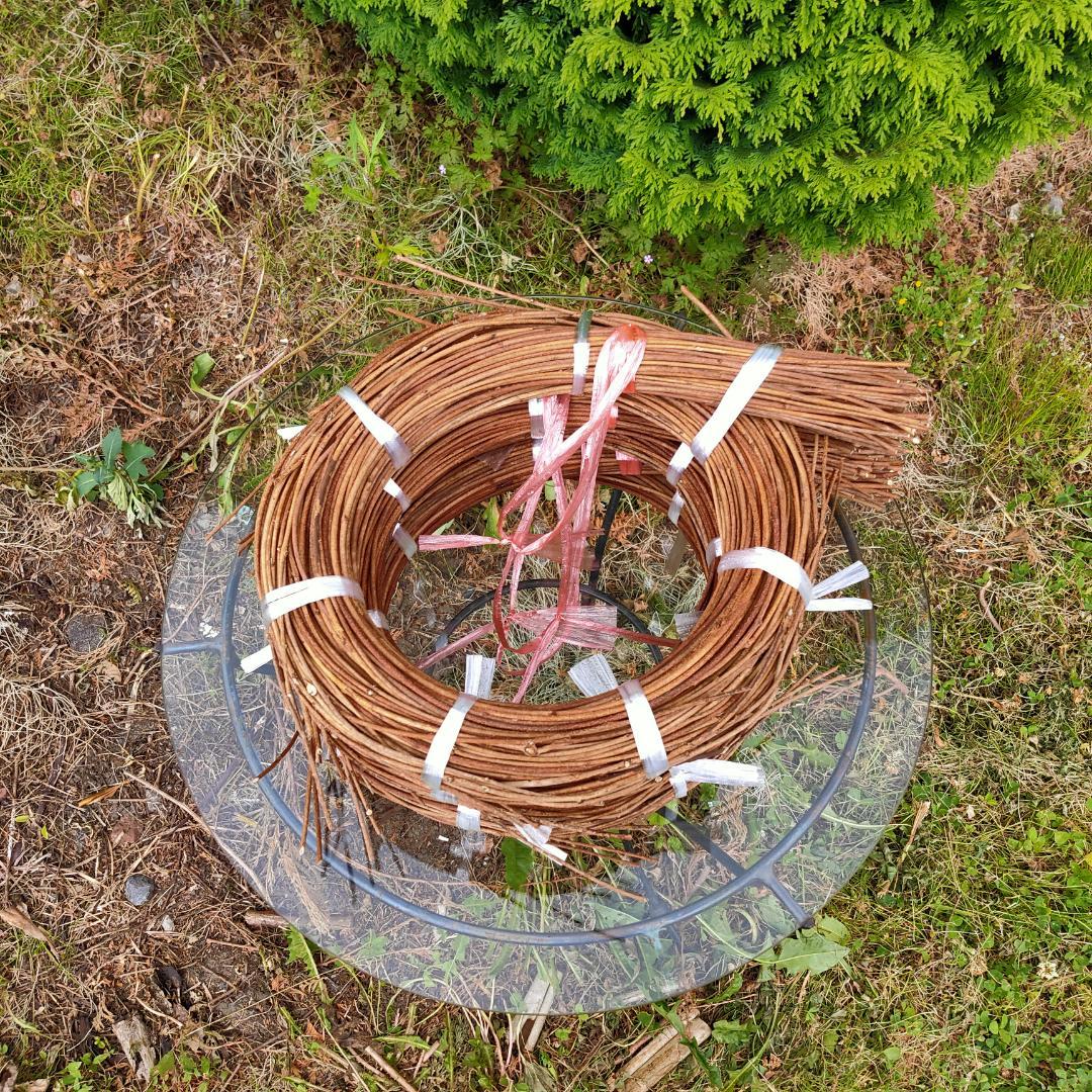 (注)青森県岩木山採取　あけび蔓　150cm～　3kg(依頼品)　2