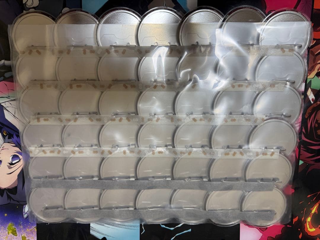 鬼滅の刃 コレクション缶バッジ 原作缶バッジ 第1弾 42個セット 胡蝶しのぶ