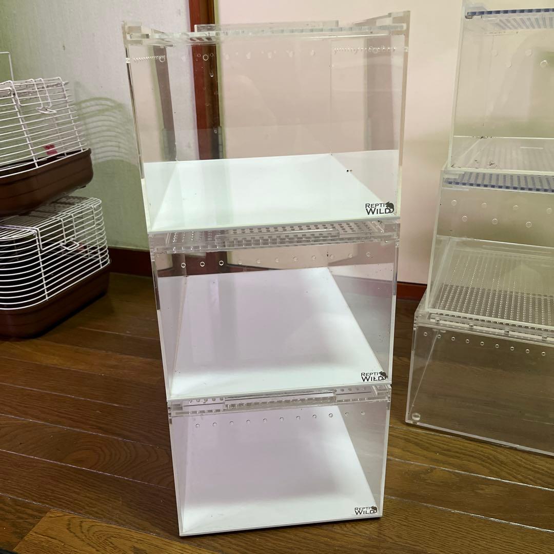 レプタイルボックス 6個