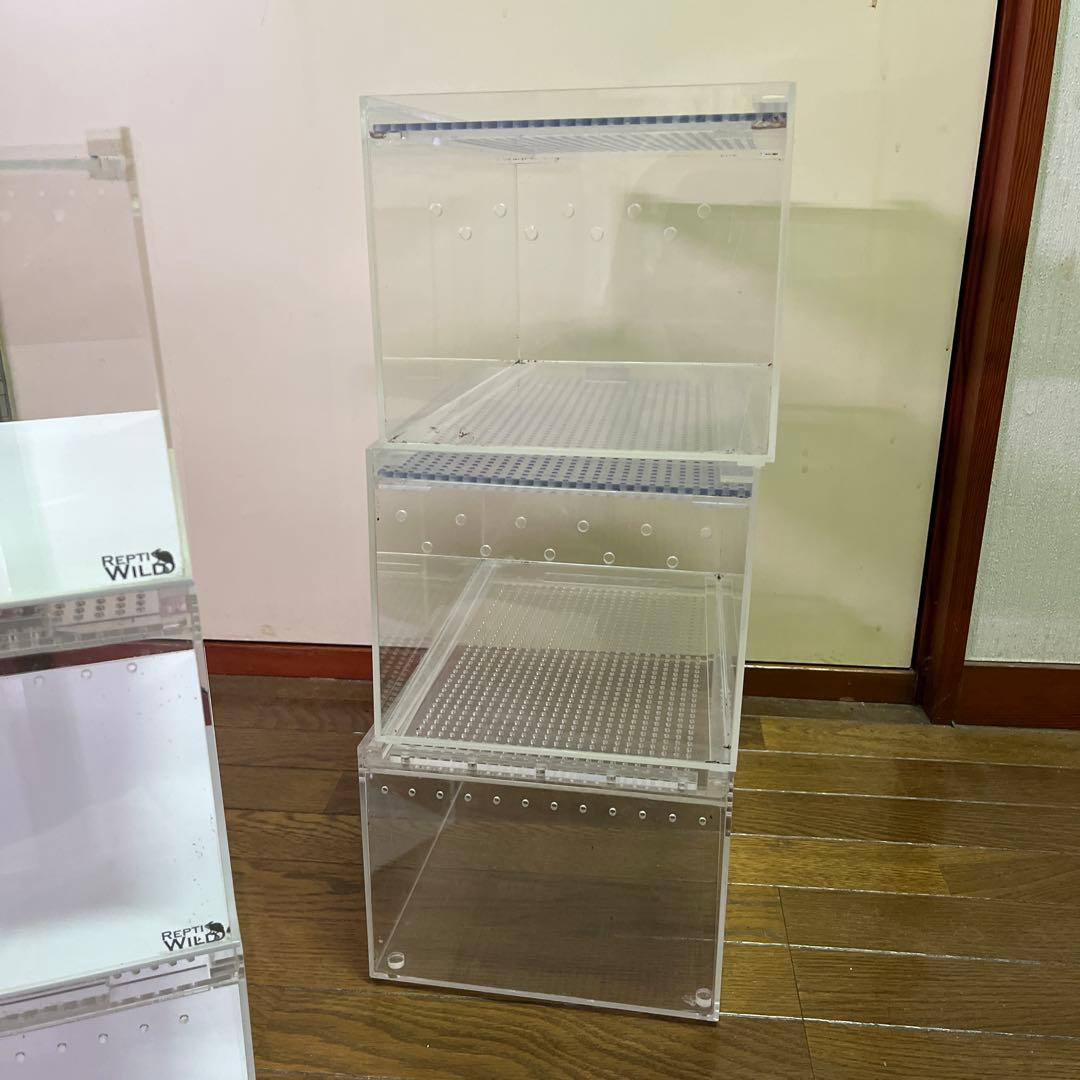 レプタイルボックス 6個