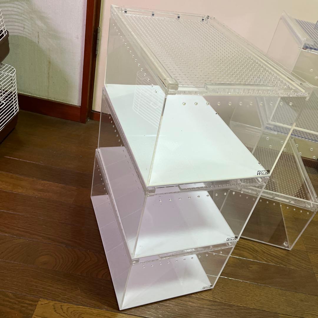 レプタイルボックス 6個