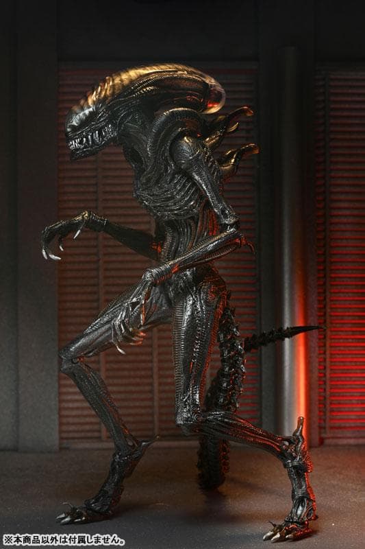 エイリアン：ロムルス/ スコーチド ゼノモーフ アルティメット NECA ネカ