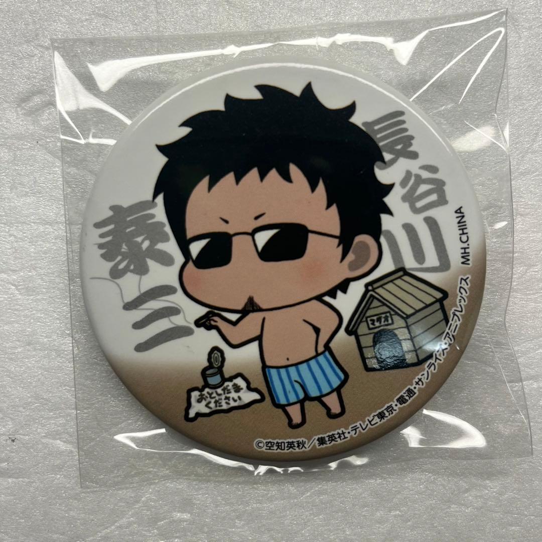 銀魂　長谷川泰三(マダオ) 「フォーチュンバッジ 銀魂 名場面編」