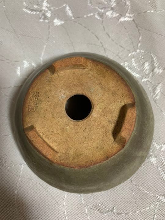 松寿　ミニ盆栽鉢