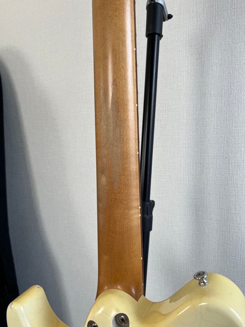 Sugi DS499 レリック仕様