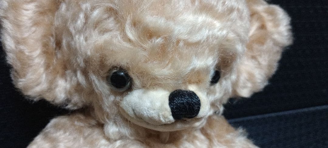 メリーソート社製テディベア （真紅のマントに金の縫取り）