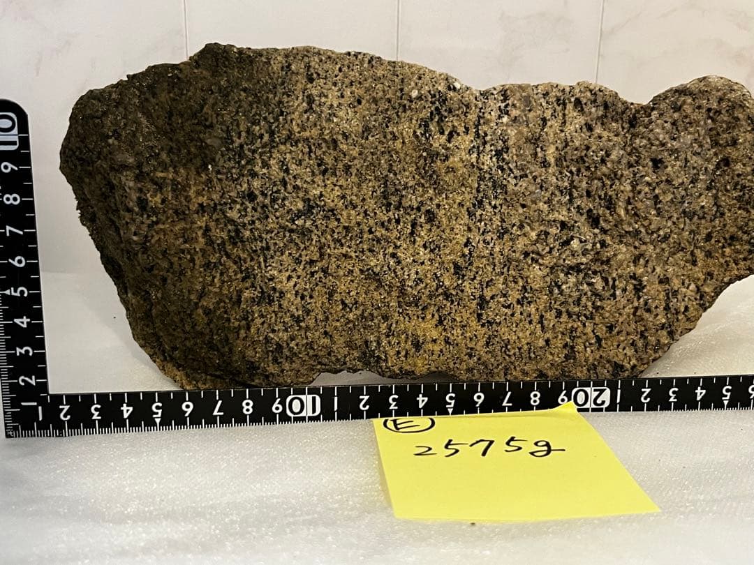 南極 南極の石 しらせ  昭和基地 南極観測船　ふじ