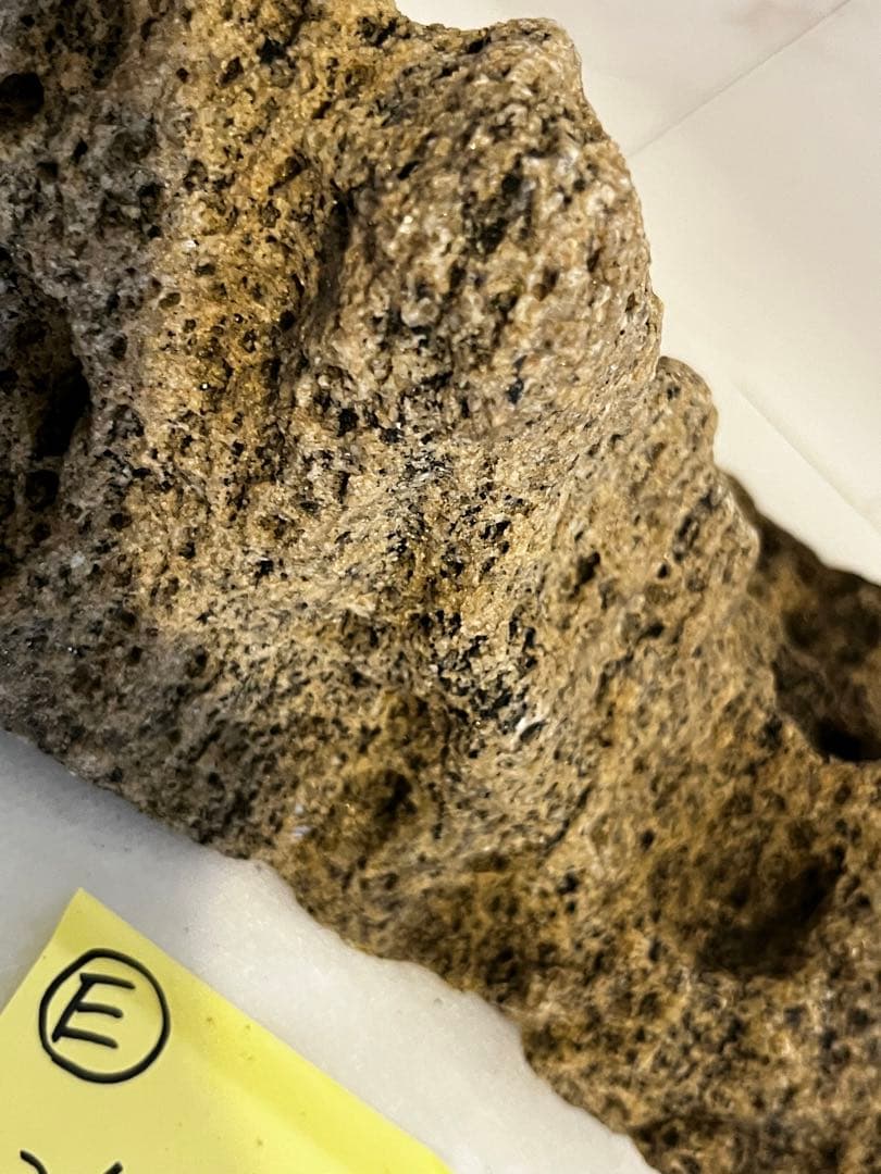 南極 南極の石 しらせ  昭和基地 南極観測船　ふじ