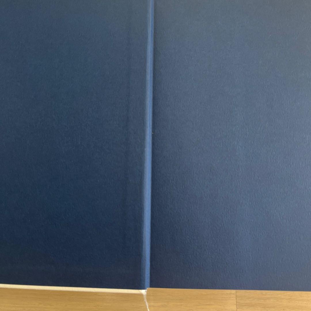 ヒトラー 上下　2冊セット