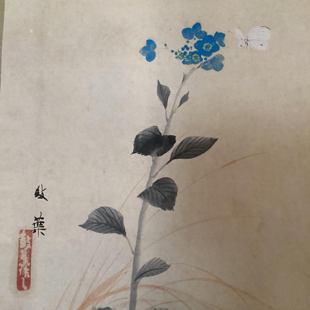 武田鼓葉筆 花鳥画 題目 【 花 蝶 図 】 紙本軸　紫陽花　落款照合