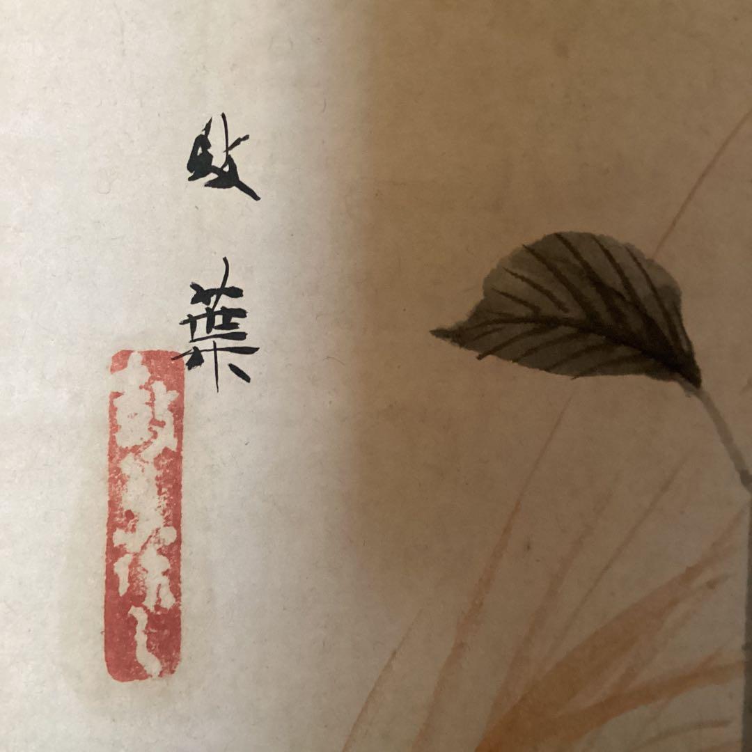 武田鼓葉筆 花鳥画 題目 【 花 蝶 図 】 紙本軸　紫陽花　落款照合