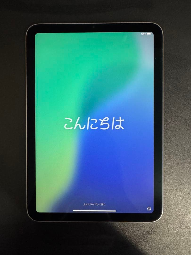 iPad mini A17 pro 128GB Wi-Fi スペースグレー