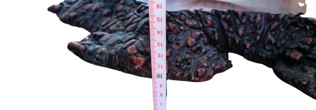 テーブル 一枚板 無垢