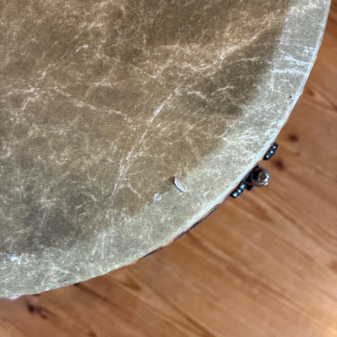 REMO World Percussion 打楽器ジャンベ12インチ