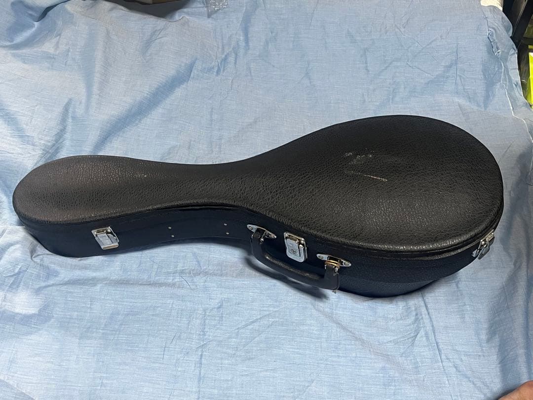 SUZUKIマンドリンM-50超美品ケース付