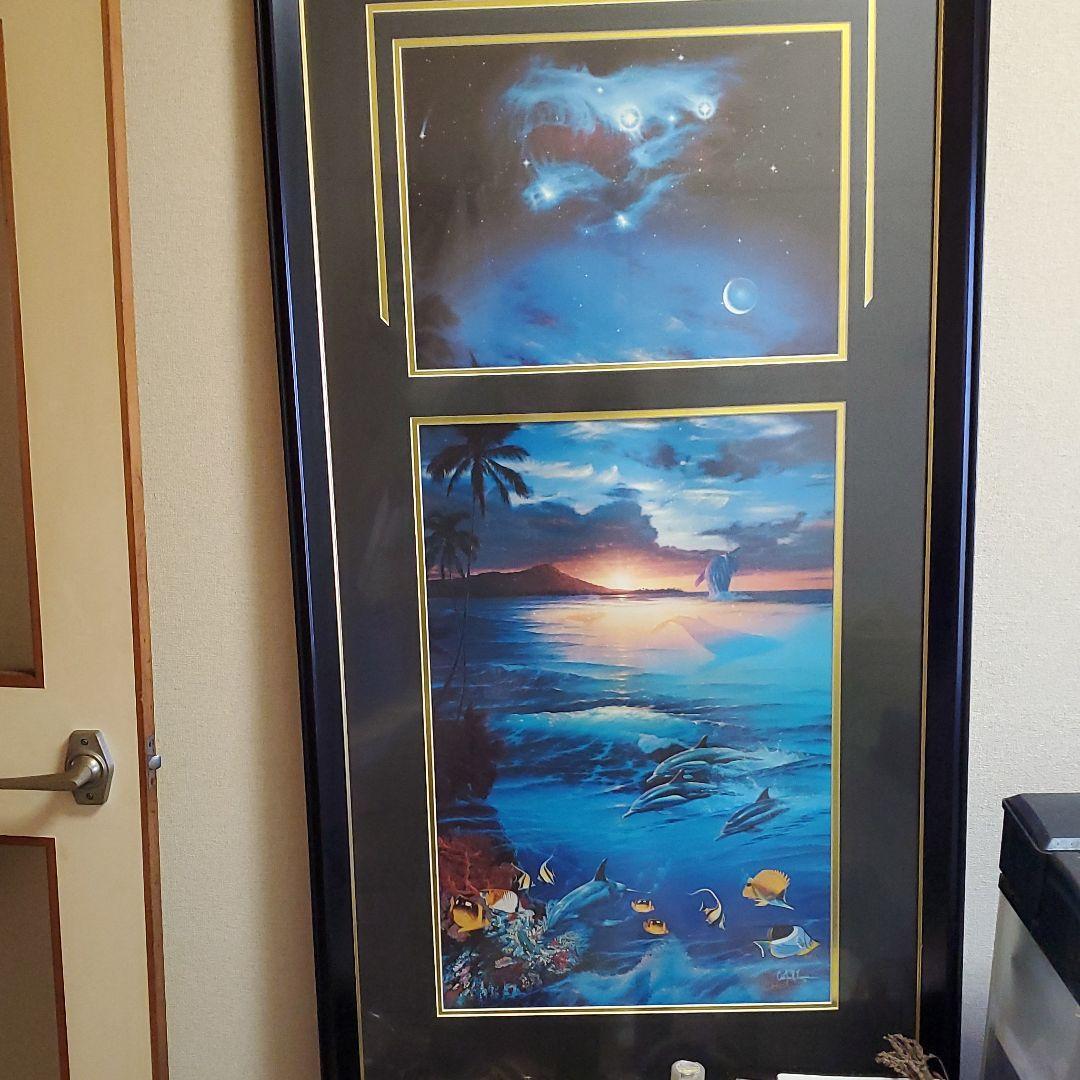 ドーンオブザドルフィン