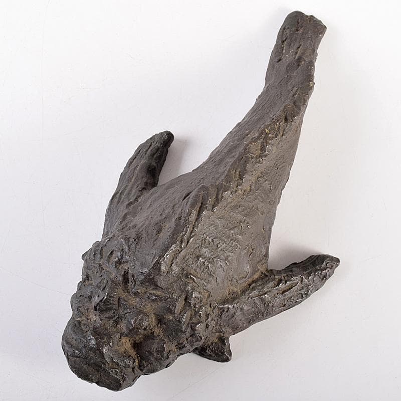 彫刻家　岡本錦朋作　ブロンズ　虎魚　おこぜ　置物　M　R7846