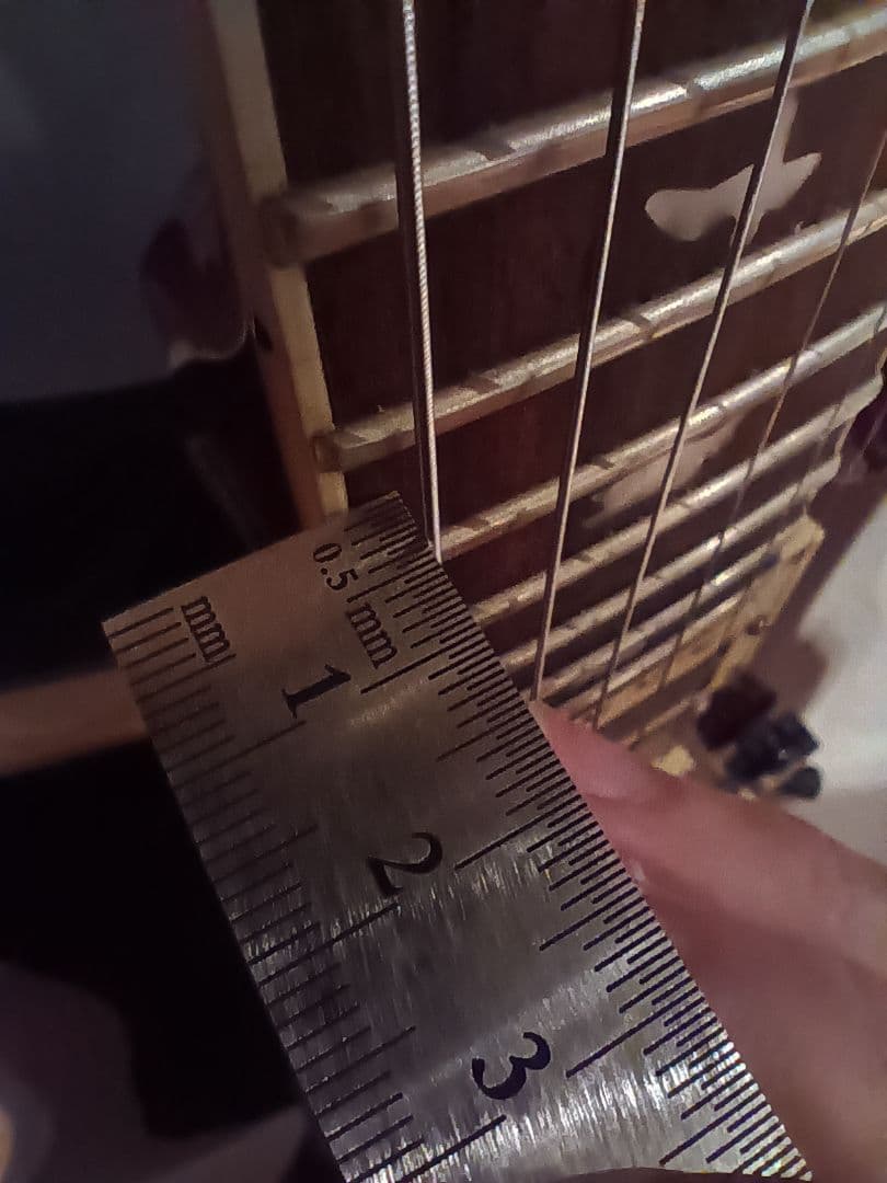 PRS(Paul Reed Smith)◆SE Standard 24