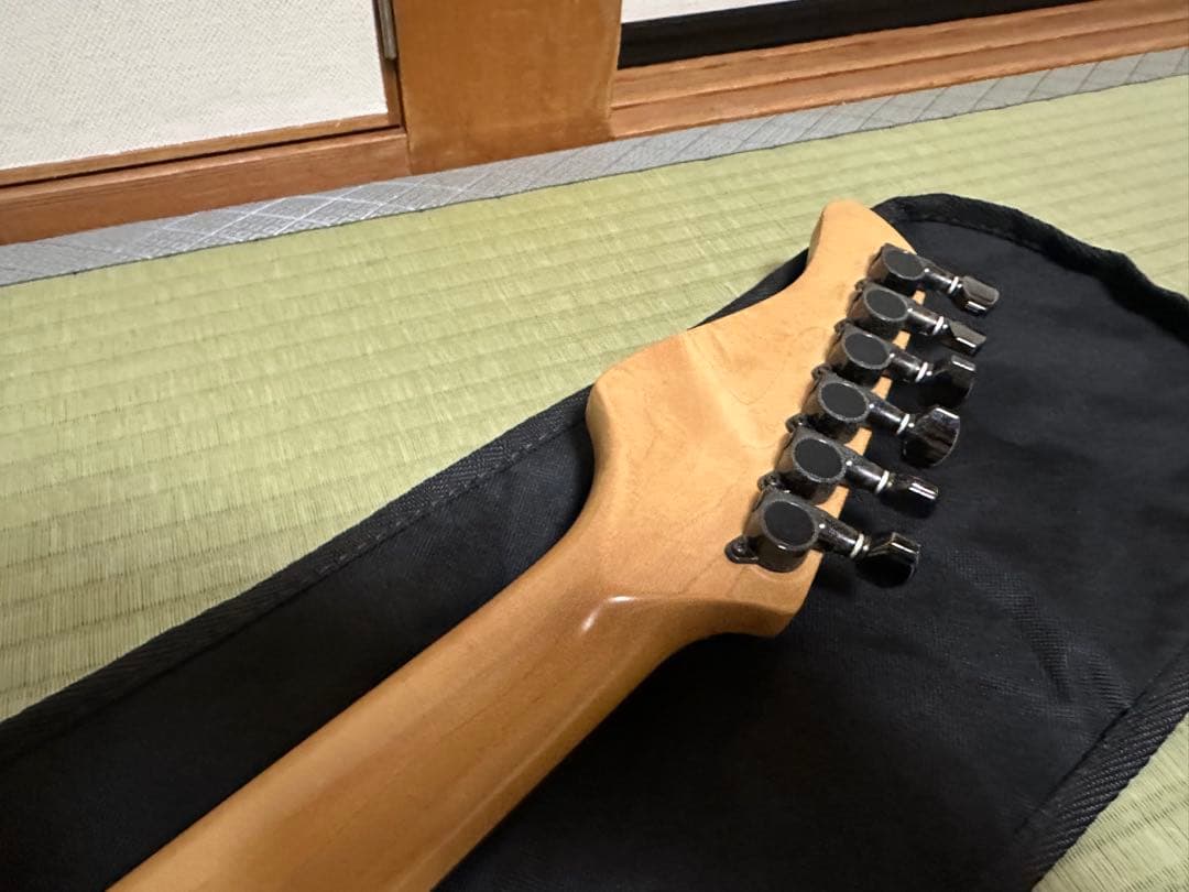 FERNANDES FR-85S フェルナンデス フルモードサスティナー
