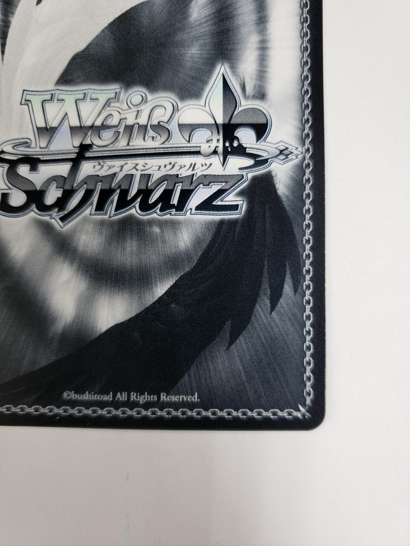 WS 迷子のバンド 長崎そよ SSP ヴァイス サイン