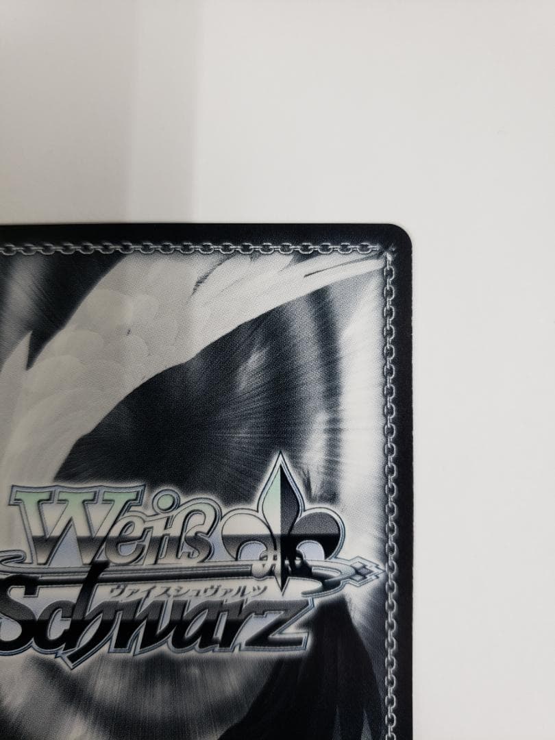 WS 迷子のバンド 長崎そよ SSP ヴァイス サイン