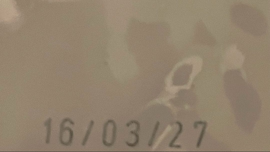 【ロイヤルカナン】ミニインドアパピー 10kg