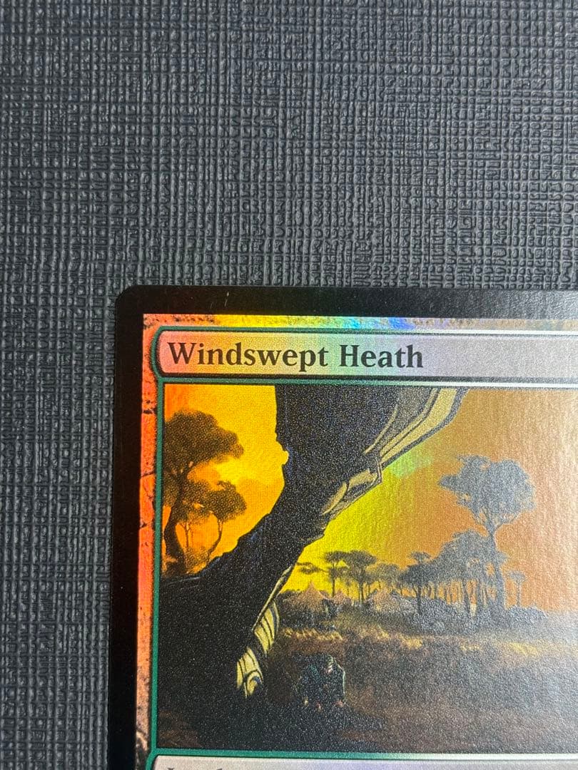 吹きさらしの荒野  ジャッジ褒賞