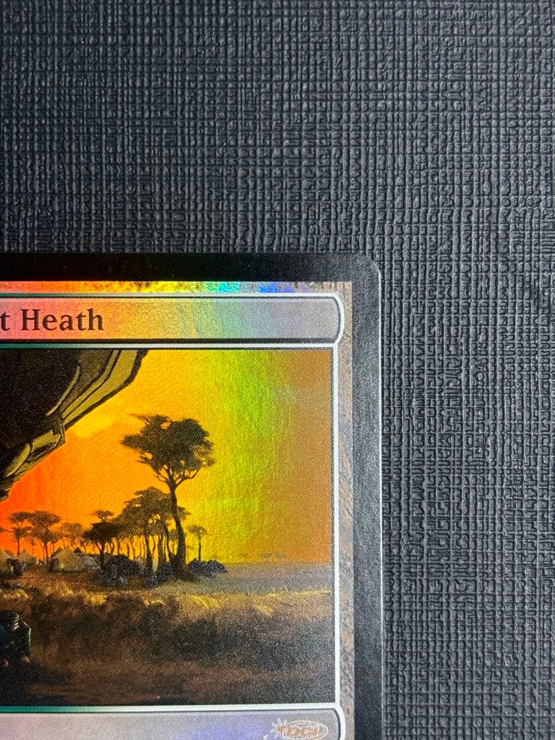 吹きさらしの荒野  ジャッジ褒賞