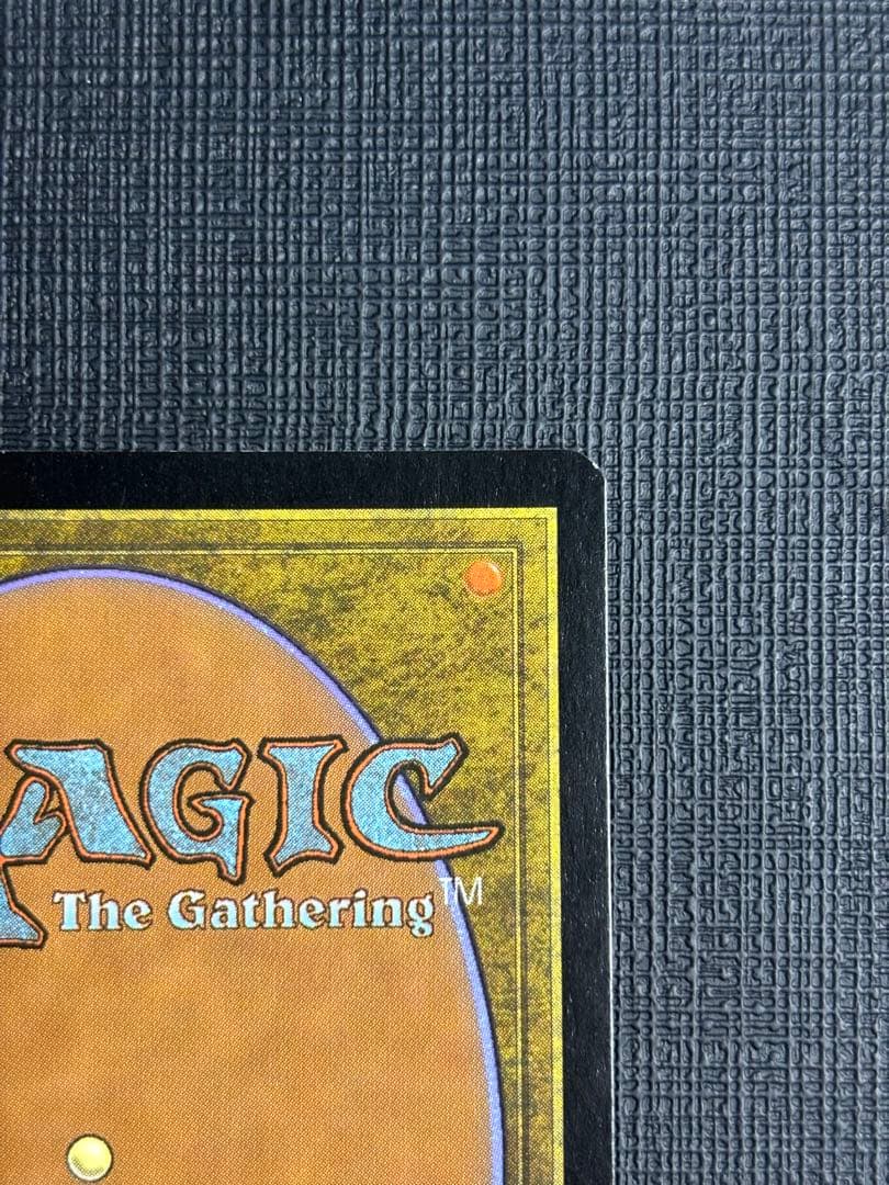 吹きさらしの荒野  ジャッジ褒賞