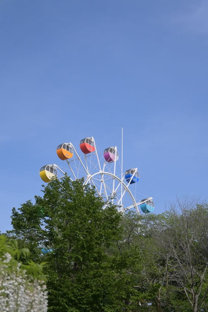 Nikon Z fc 16-50 レンズキット