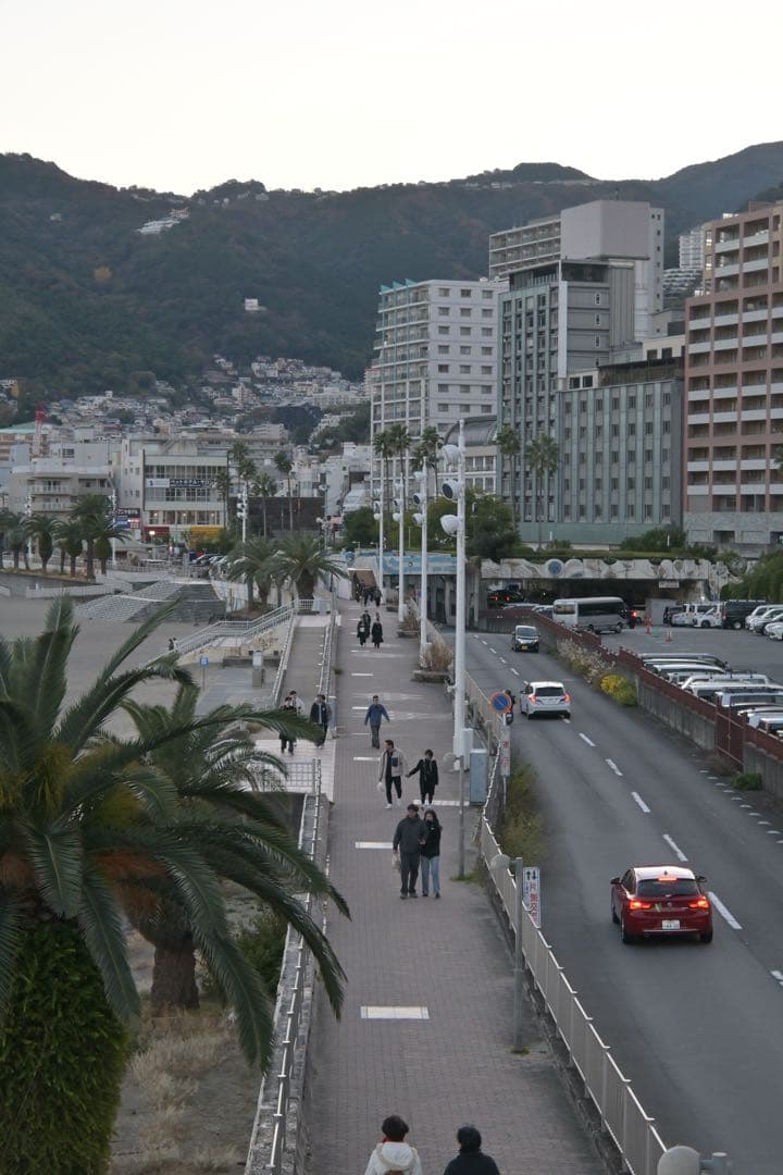 Nikon Z fc 16-50 レンズキット