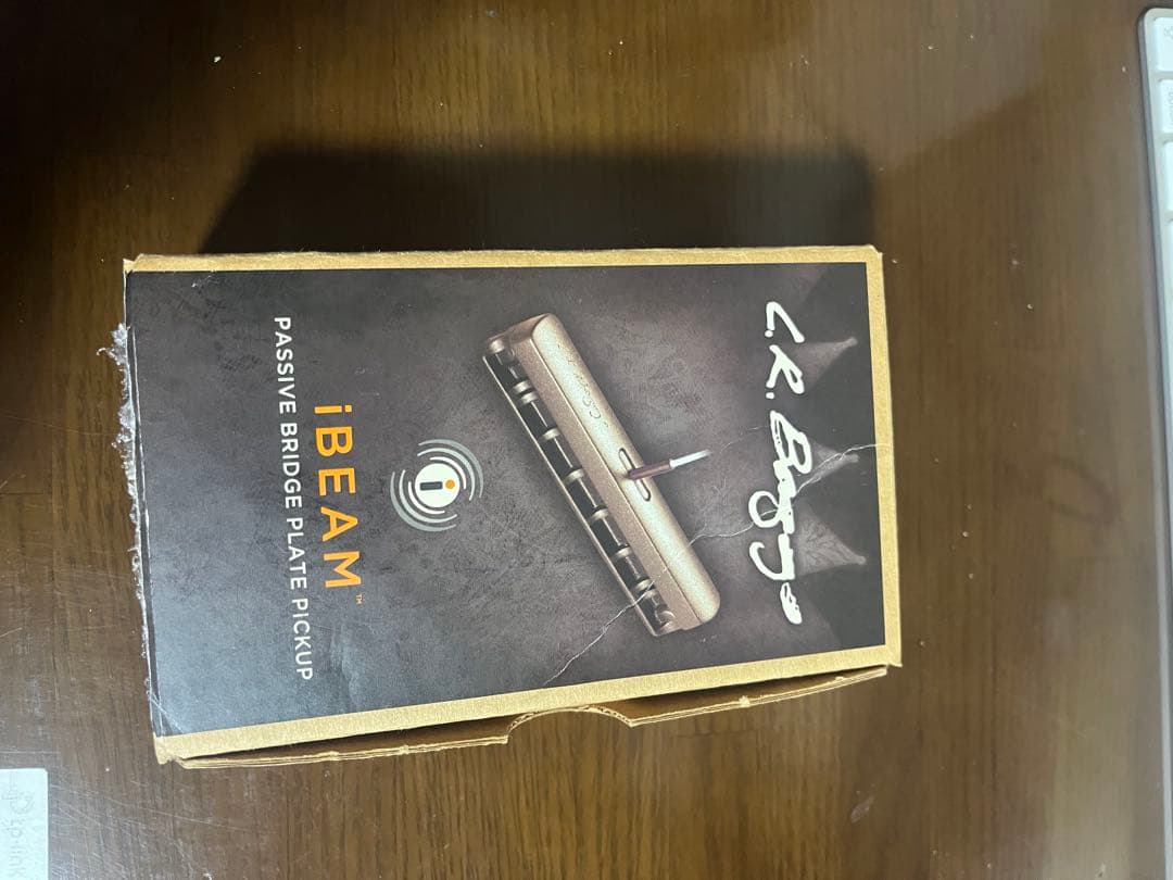 L.R.Baggs iBEAM アコギ用ピックアップ パッシブ 箱・付属品完備