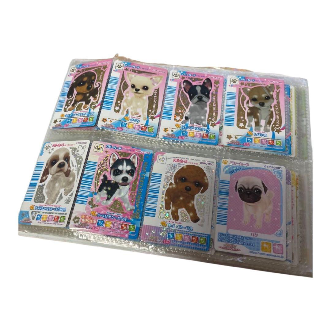 ワンタメ　カード　ワンタメミュージックチャンネル　レア　ねこ