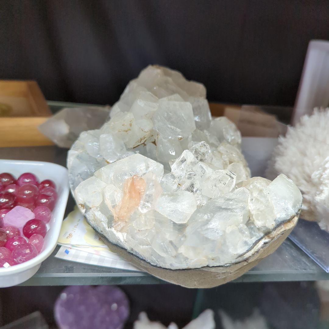 コレクション me7240